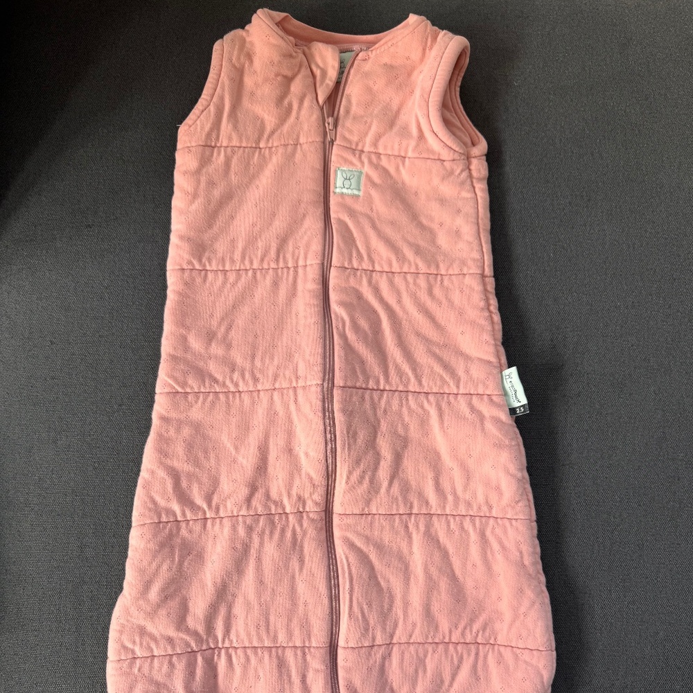 ErgoPouch Sleep Sack 2.5 TOG for 3-12 months old